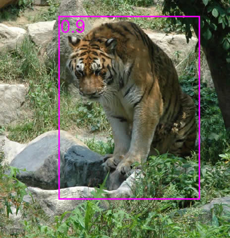 detections after non-maximum suppression applied